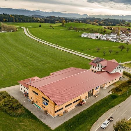 Bodensee Apartment Allgaeu Alpenblick Wangen im Allgäu Eksteriør billede